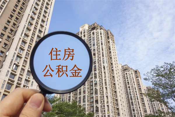新安深圳公积金（深圳公积金首页）